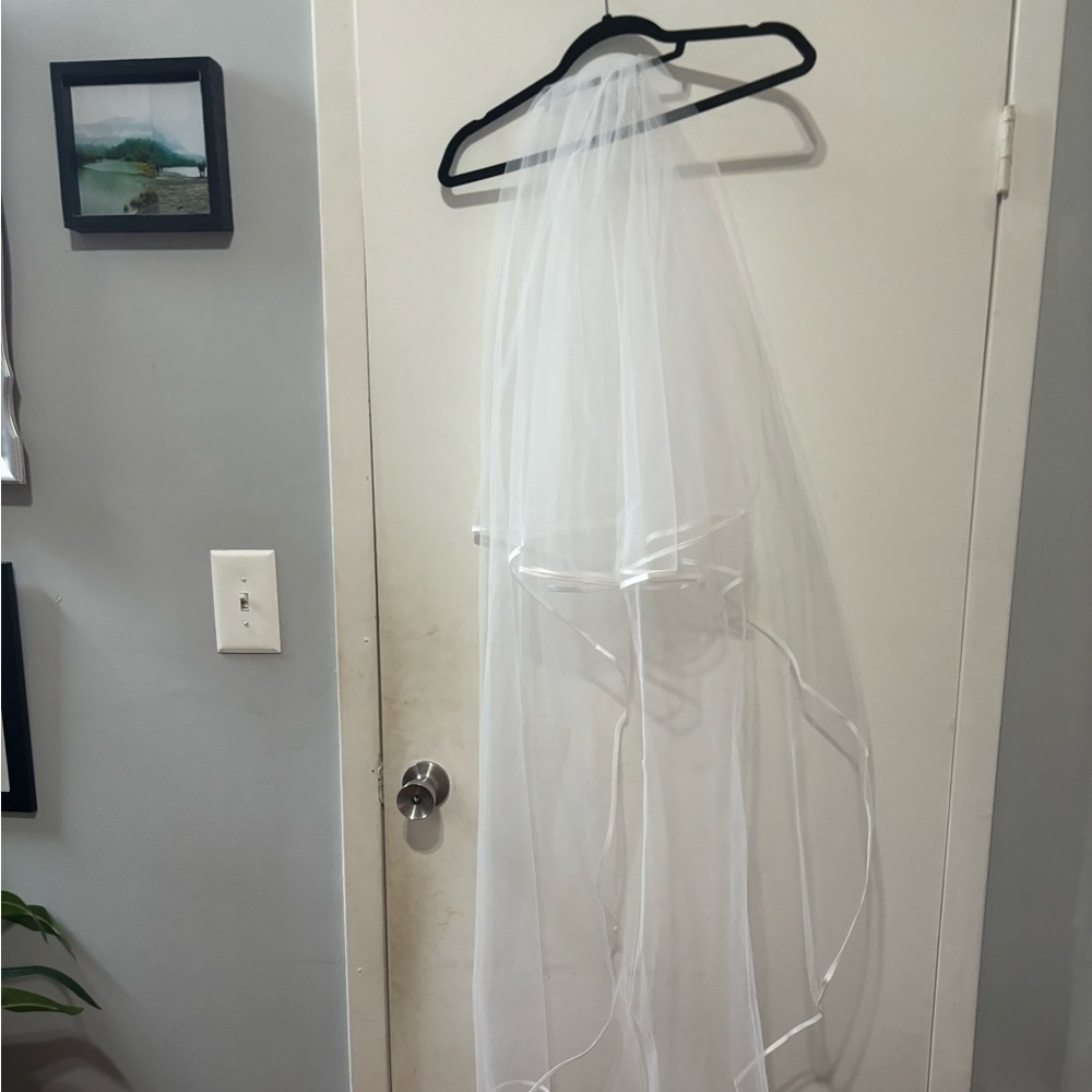 Modern plain veil from Etsy, long. Never worn